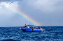 3-Tank Dive Featuring the Molokini Crater