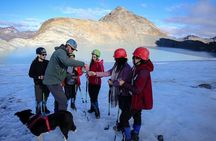 Albino's Eye Glacier Full-Day Trekking Tour from Ushuaia
