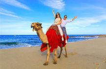 Beach UTV Adventure with Free Camel & Horseback Ride