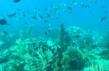 Mein Schiff La Romana: Catalina Island Snorkeling