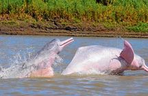  Iquitos: 2 Day Amazon Rainforest Discovery - Iquitos Jungle Tour