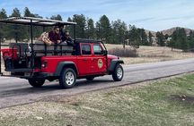Custer State Park Complete - JEEP Bison Safari - 1/2 Day Public