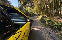 1Hr Hollywood AI powered driving tour