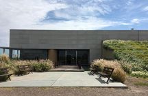 Mendoza Private Wine Tour Paired Lunch and Olive Oil Tasting