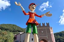 Nami Island and Petite France & Italian Village Day Trip from Seoul