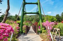 Day Trip to Nami Island with The Garden of Morning Calm