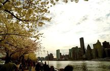 3Days New York City Tour With Professional Photographer