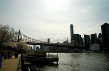 3Days New York City Tour With Professional Photographer