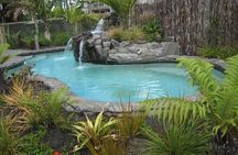 Auckland Thermal Pool and Muriwai Beach Sunset Day tour 