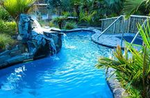 Auckland Thermal Pool and Muriwai Beach Sunset Day tour 