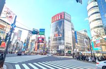 Shibuya Highlights Hachiko Scramble Meiji Jingu and Sky