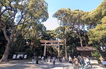 Shibuya Highlights Hachiko Scramble Meiji Jingu and Sky