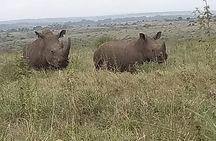 1 Day Nairobi National Park and Giraffe Centre Tour