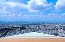 Shibuya Highlights Hachiko Scramble Meiji Jingu and Sky