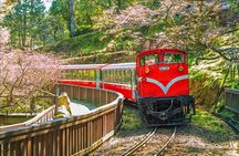 Alishan 2Day Shared Tour from Taipei 