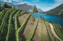 Guided Tour and Tasting Among the Vines of Lake Ledro