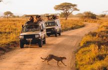 Kilimanjaro Climb via Marangu Route with 6 Day Safari Tour