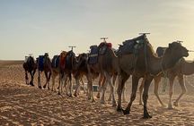 3 Day Desert Tour to Merzouga from Marrakech