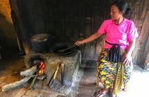 Private Bali Shore Tour from Benoa Port