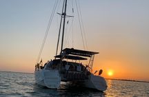 Catamaran 3h Swim & Sail Experience Manilva incl. Tapas Drink Dolphin