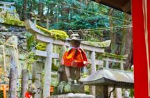 Kyoto: Fushimi Inari Hidden Hike (Private)