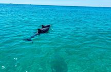 2 Hours Shell Island Jet Ski Tour