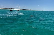 2 Hours Shell Island Jet Ski Tour