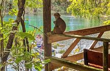 Silver Springs Jungle Kayaking and Paddleboarding