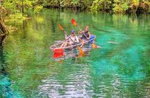 Silver Springs Jungle Kayaking and Paddleboarding