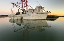 Folly River Morris Island Dolphin and Exploration Adventure 
