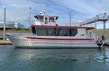 Spacious Catamaran Guaranteed Whales!