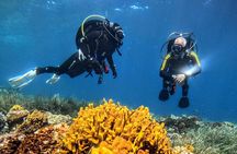 PADI Discover Scuba Diving for Beginners at Ouranoupoli|Chalkidiki|Greece
