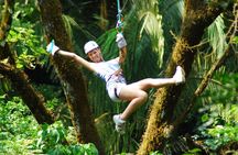 Original Canopy Tour at Veragua Rainforest