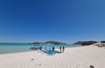 Sea Lions & Mega-Paddleboard Tour in Balandra