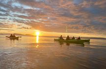 Full Day Kayaking Adventure on Orcas Island