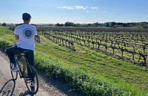 Montpellier Nature-Guided Ride to Lake Cres by Electric Bike