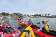 Half Day Dana Point Kayak and Hike
