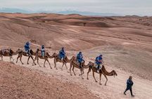 Agafay Desert Experience:Quad Biking,Camel Ride and Dinner Show