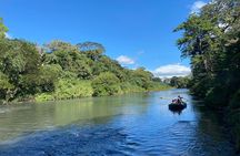 Tropical Wonders Sloths and River Serenity