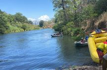 Tropical Wonders Sloths and River Serenity