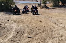State Forest ATV Tours minutes from Orlando and Tampa 