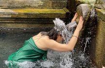 Ubud Private Chasing Waterfall and Water Temple Tour