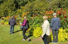 Stanley Park Tour:VIP Car–Small Group,Affordable,Valuable,Comfort
