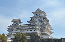 Osaka-Himeji Customize Tour with Pickup and DropOff