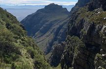 Table Mountain Guided Hike