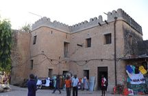 Stone Town,Spice Tour&Prison Island Private Tour 