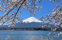 Mt Fuji Private Sightseeing Tour from Tokyo