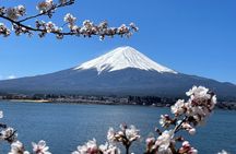 Mt Fuji Private Sightseeing Tour from Tokyo