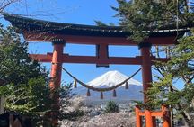 Mt Fuji Private Sightseeing Tour from Tokyo