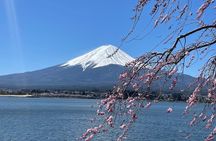 Mt Fuji Private Sightseeing Tour from Tokyo